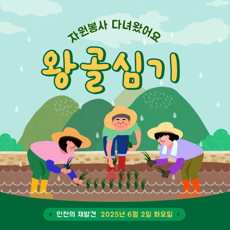 6월 자원봉사 다녀왔어요(왕골심기)